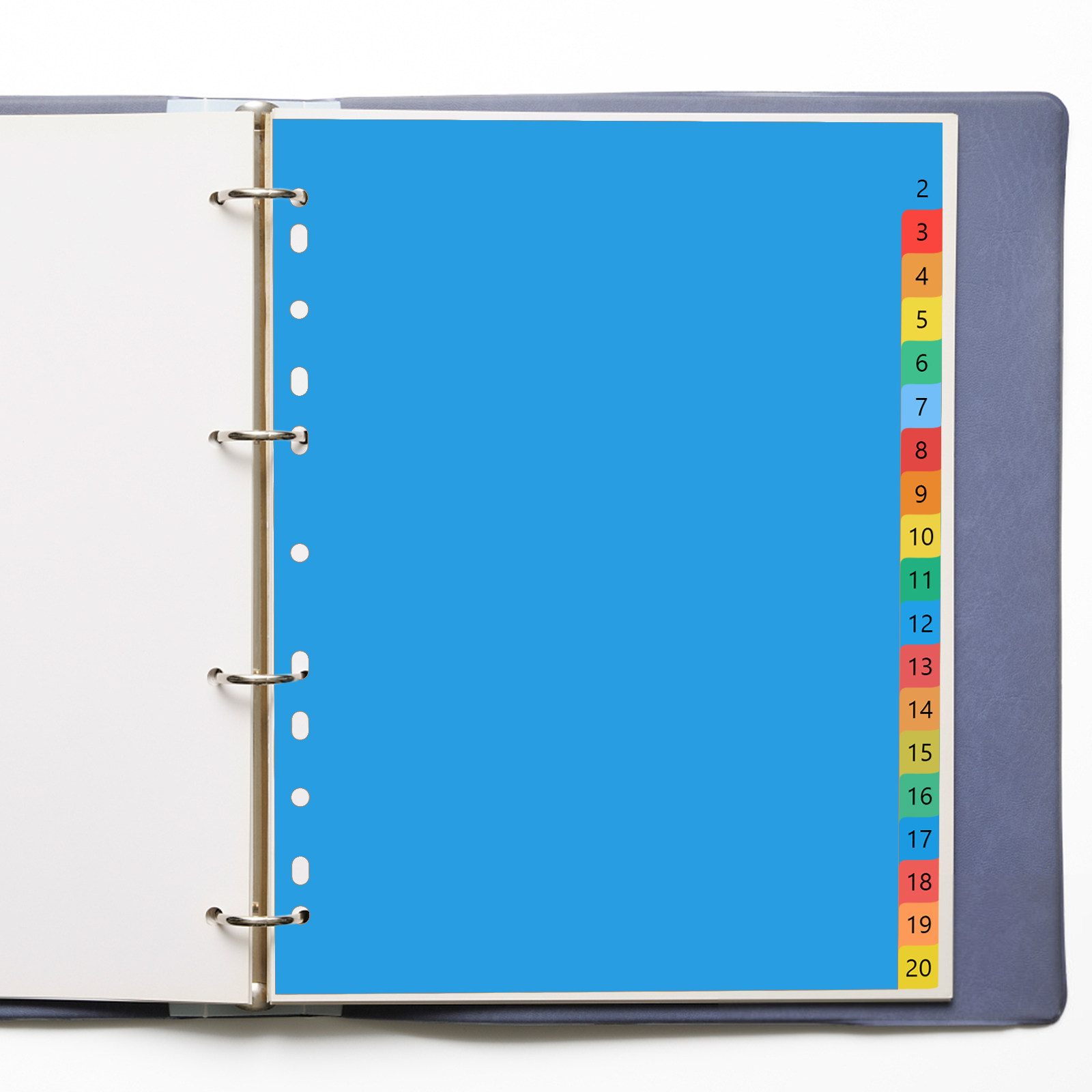 Tab Divider A4 - 20 цветных пластиковых разделителей формата А4